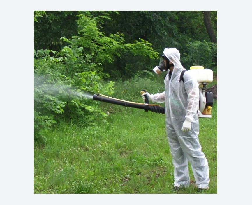 обработка территории от клещей в Сиверском