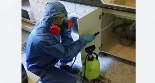 Уничтожение муравьев в квартире. Сиверский