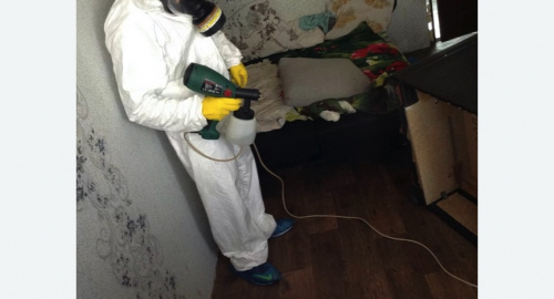 Обработка квартир от насекомых в Сиверском