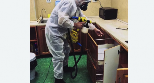 Дезинсекция квартиры. Сиверский
