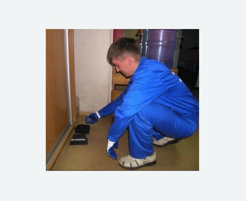 Дератизация крыс в Сиверском