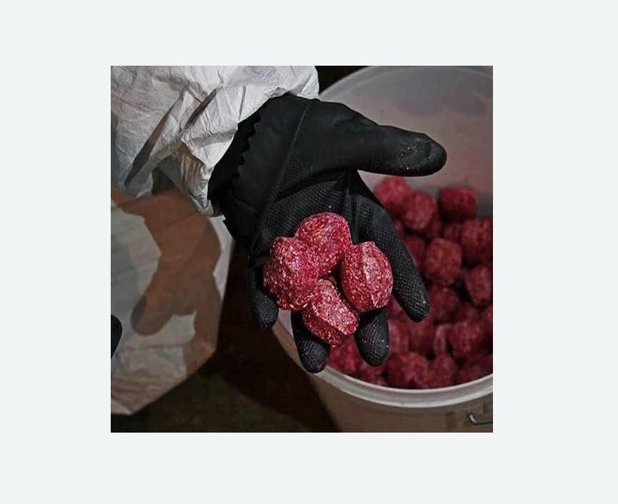 Обработка от крыс в Сиверском