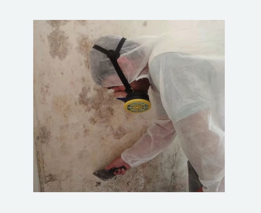 Обработка стен от плесени в Сиверском