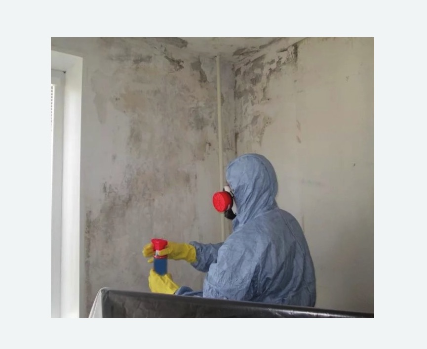 Удаление плесени в квартире в Сиверском