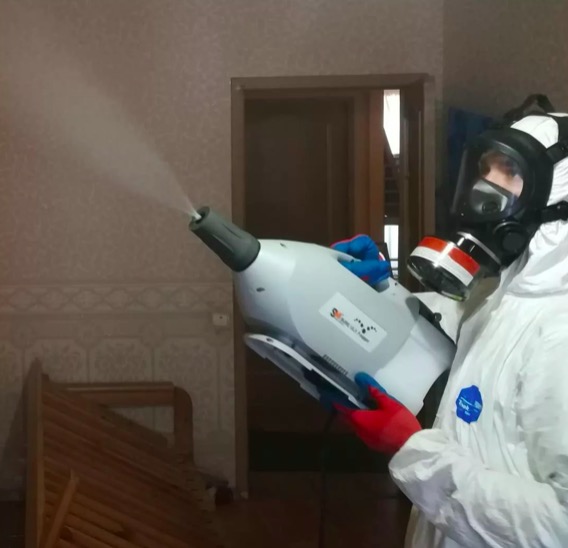 дезинсекция помещения в Сиверском
