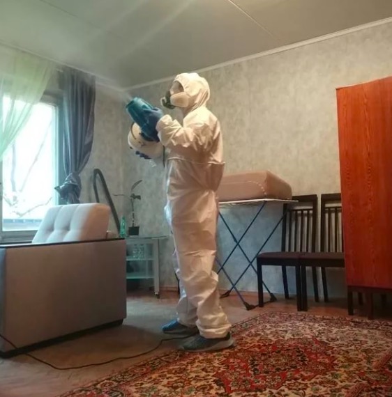 дезинсекция квартиры в Сиверском