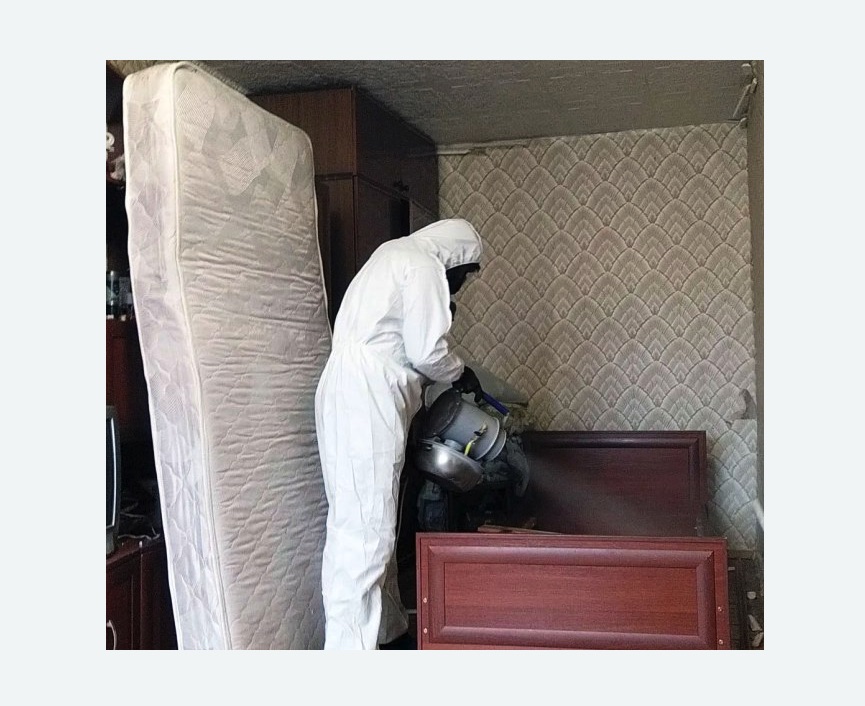 дезинфекция от клопов в Сиверском