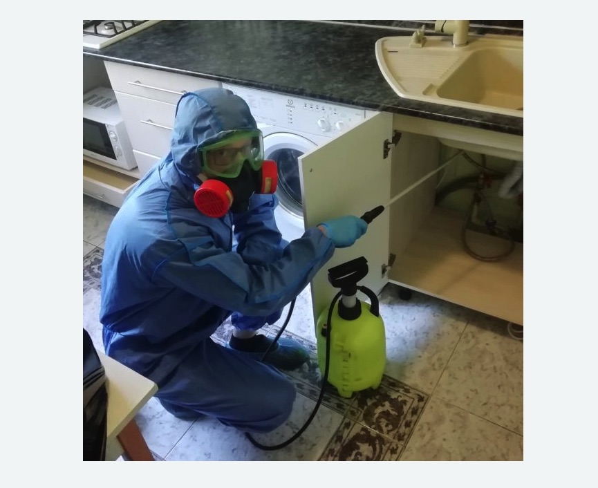 обработка от муравьев в квартире в Сиверском