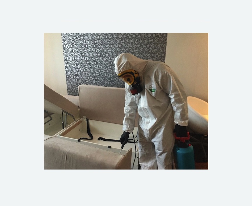 уничтожение клопов в квартире в Сиверском