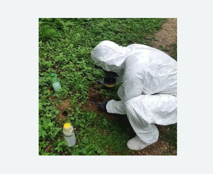 уничтожение кротов на участке в Сиверском