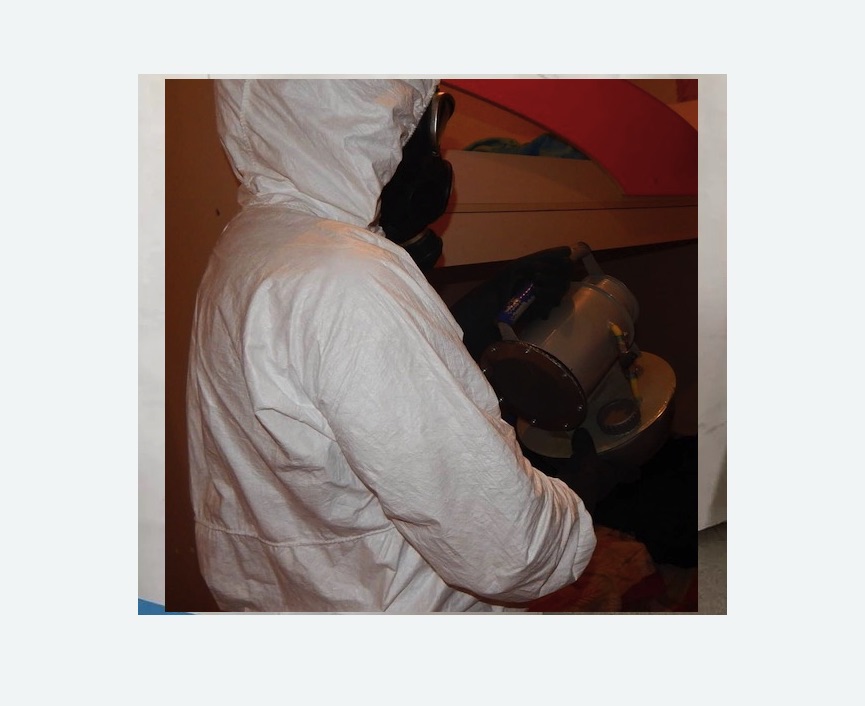 Дезинфекция от муравьев в Сиверском