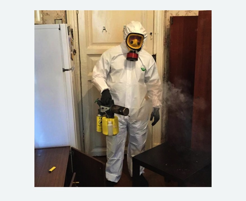 уничтожение муравьев в квартире в Сиверском